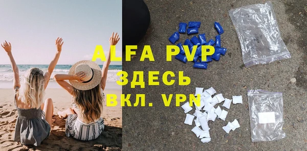 ГАЛЛЮЦИНОГЕННЫЕ ГРИБЫ Дмитриев