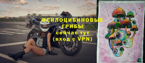 прущая мука Верея